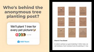 'Where's the Scam?' – Inside the Viral 'Plant a Tree' Instagram Trend