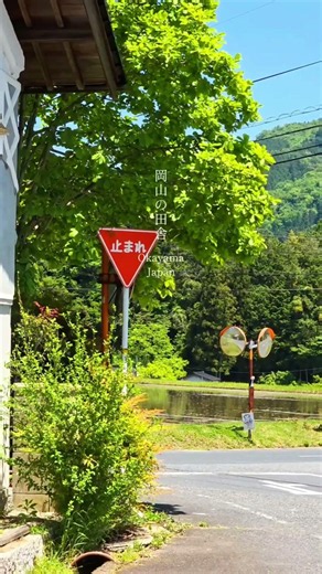 Peaceful Countryside in Japan | Hidden Rural Scenery in Okayama 🌿🏞️🇯🇵