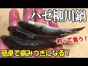 江戸前のハゼを沢山釣ってハゼの柳川鍋を作って食べてみたら病みつきで止まらない美味しさだった！ゴボウと卵・ネギと江戸前ハゼだけで作る簡単鍋！