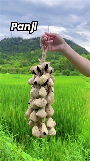 7 handmade wind chimes. 7 unique sounds. Which one is yours? 🎐 #handmade #healing #calmvibes