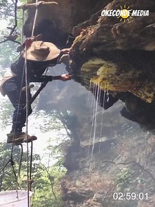 Amazing Working And Technology 2022 | David W5P3