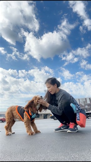 Even in a public 😝😝😂 #Eateverything #dog #koko #doglife #cockapoo | Mommy ni Koko Vlog in America