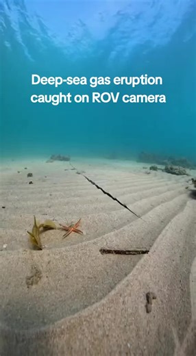 Massive Gas Release from Seabed Captured by ROV