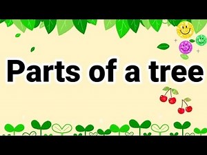 Parts of a Tree for Kids | Learn Parts of a Tree for Kids | Tree and their Parts for Kids