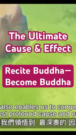 The Supreme Cause & Effect: Reciting Amitabha, Becoming a Buddha