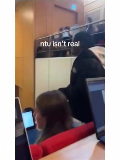 7.2K views · 33 reactions | A modern education | For A Traditional Britain | Facebook