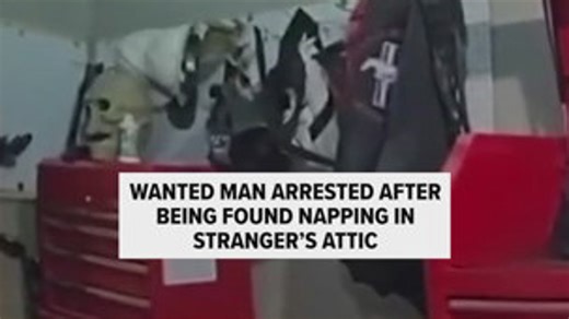 Wanted man found napping in stranger's attic