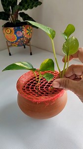 361K views · 3.8K reactions | Quick & Easy DIY Plant Trellis Tutorial  #shorts #trellis #gardening | Succulent Plants | Facebook