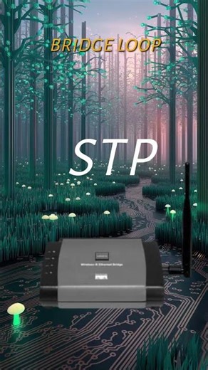 Bridge Loop Explained in Simple Terms | How STP can help?