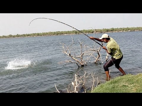 unique fishing|Big River fishes catching by Singal hook |in krishna river