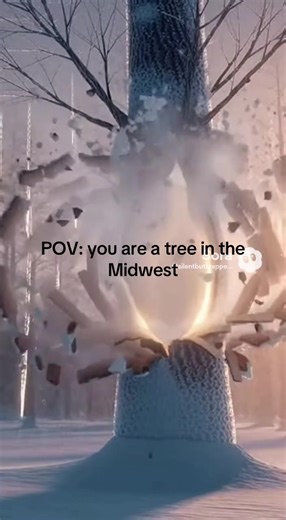 exploding trees #tree #winter #cold #midwest #wisconsin | trees exploding from cold