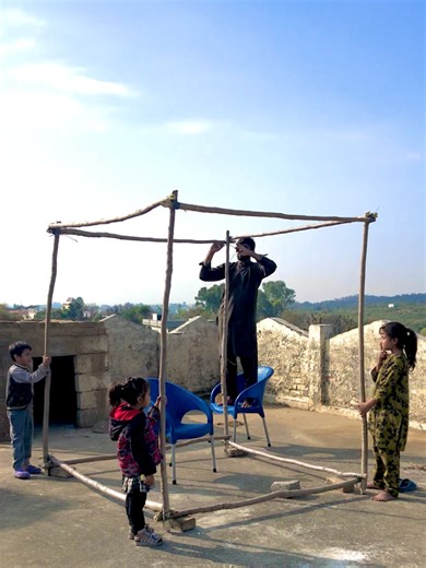 Pigeon Cage Setup for Enthusiasts