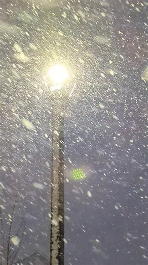 ❄️ The snow is falling at a pretty steady clip. What are you seeing outside of your door? How are the roads? | Levittown Now