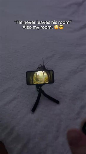 📽️✨ Turn any wall into a theater The Smart Mini 4K Projector delivers stunning clarity, fast Wi-Fi 6 streaming & auto keystone correction 🎬📡 ✅ 180° adjustable for any angle ✅ Auto keystone ✅ Bluetooth 5.2 for easy pairing 👉 Ideal for home, travel & parties | Makebreeze