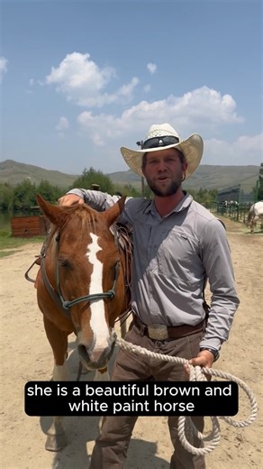 You don’t need to hit the water to find Nemo! Just head to the Rocky Mountains. Scott, our Kids Program Supervisor, is here to introduce Nemo the horse, who loves working with children who visit the ranch! | C Lazy U Ranch