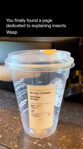 Explaining Insects 🦋 on Instagram: "Wasps are fascinating insects known for their slender bodies, narrow “waists,” and powerful stingers. Unlike bees, most wasp species can sting multiple times because their stingers don’t detach. Many are important predators in nature, hunting pests like caterpillars, spiders, and flies to feed their young, which makes them valuable for controlling insect populations. Some species are solitary, while others—like yellowjackets and hornets—live in highly 
