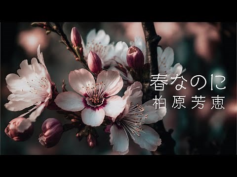 【春なのに】柏原芳恵