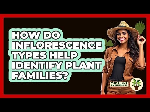 How Do Inflorescence Types Help Identify Plant Families? - The Plant Enthusiast