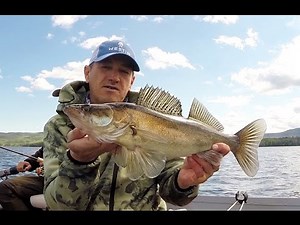 Angeln in der Mitte von Schweden – Zander, Hecht und Barsch in Hälsingland