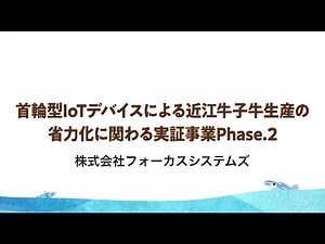 フォーカスシステムズの実証実験の紹介