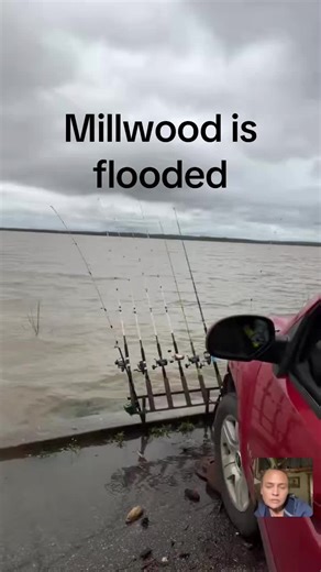 Catfishing Adventures in Arkansas: Flooded Millwood Lake