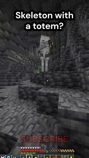 Skeleton obtained a totem? #minecraft