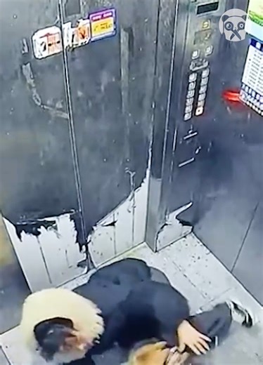 Elevator doors trap dog's leash | Bored Panda Art