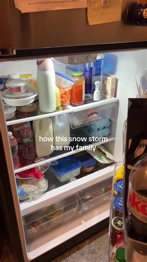 they are NOT PLAYING #fyp #2026 #weather #eastcoast #snow | snow storm