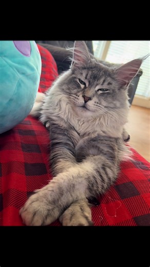 Katlyn Jewels 💎 on TikTok