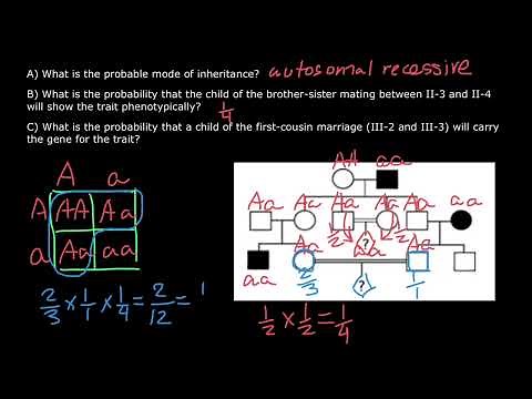 Recessive Genetic Disorder Probability of Inheritance