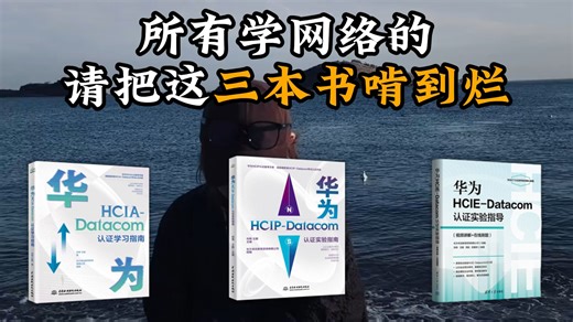 【附电子版】建议所以想要学习网工的同学去学，死磕这几本书，年薪40万不是梦，自学网络工程师书籍推荐（华为认证HCIA/IE/IP）永远的神