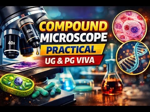 Compound Microscope: Components, Uses, Care & Practical Viva Questions | Biology UG & PG