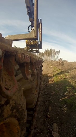 Efficient Forestry Logging with Ponsse Buffalo Forwarder