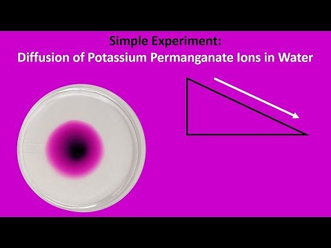 EXERCISE 7, Activity 1: Simple Experiment: Diffusion of Potassium Permanganate Ions in Water