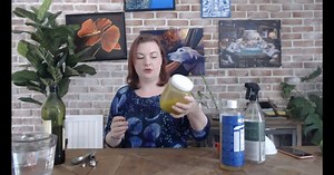 DIY Homemade Bug Spray for Plants