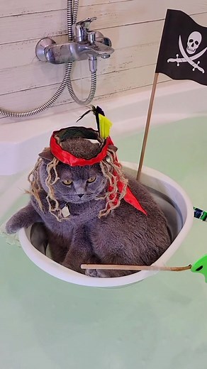 Luke Skywalker Cat Imitation: A Purr-fect Tribute