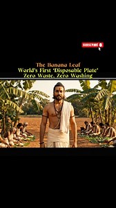 100K views · 26K reactions | “The first plate humans used… never...