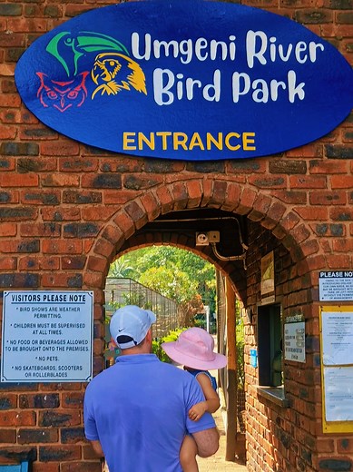 Parent life really changes how you explore your city 🦜 Finally visited Umgeni River Bird Park with my toddler and we absolutely loved it 💛 Durban has so many hidden gems for kids! We paid R78 per adult and our toddler went in free 📍 Umgeni River Bird Park - Things to do with kids in Durban