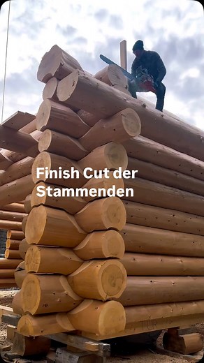 Rundholzhaus on Instagram: "daily business - dazu gehört auch päzises Schneiden in luftiger Höhe 🌲🌲🌲 #rundholzhaus #draußendaheim 🌲🌲🌲 #naturstammbau #blockbau #holzbau #zimmerei #handwerk #holzliebe #blockhausbau #massivholz #holzhandwerk #traditionelleshandwerk #motorsäge #kettensäge #holzverarbeitung #holzkunst #baukunst #timberconstruction #logbuilding #woodworking #carpentry #handcrafted #chainsawwork #timbercraft #loghouse #woodcraft #precisionwoodworking"