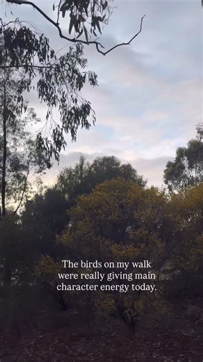 Early morning walks, what a way to wake the body! They do more than wake you up — they literally change your chemistry. 🌤️ Top benefits of walking first thing in the morning: 1. Boosts serotonin → lifts mood and motivation 2. Regulates cortisol → steadier energy and stress response 3. Improves insulin sensitivity → better blood sugar balance 4. Enhances circulation & oxygen flow → clearer thinking 5. Supports circadian rhythm → deeper, more restful sleep #MorningWalk #10000StepsBefore10am #Move