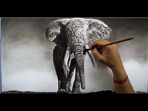 The Elephant | realistic Charcoal Drawing |