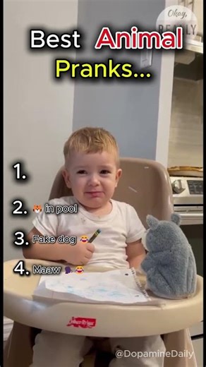 Top 5 Funniest Animal Pranks 😂 #shorts