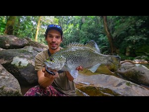 Exploring remote jungle waterfalls - Catching HUGE jungle perch on TOPWATER