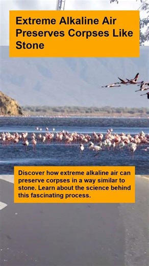 Extreme Alkaline Air Preserves Corpses Like Stone - OTOMOTIPS