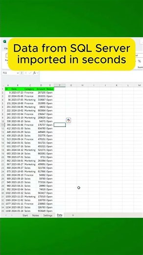 Create a Pro SQL-Powered Excel Form #excel #vba #data