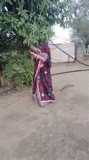O Kun Baav Lemon Orange #shekhawati #song #rajthani