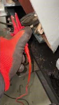 Motor Megger Test (12-4-25)