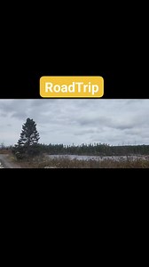 Road trip from Terra Nova to Gander on the TRailway Trail. | Visit Newfoundland and Labrador