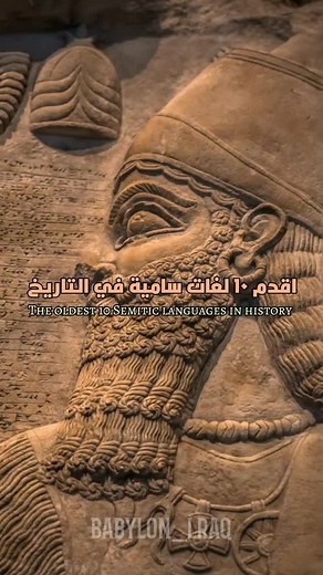 BABYLON على TikTok