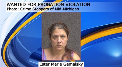 Crime Stoppers: Vehicle theft, probation violation